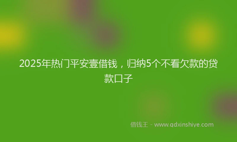 2025年热门平安壹借钱，归纳5个不看欠款的贷款口子