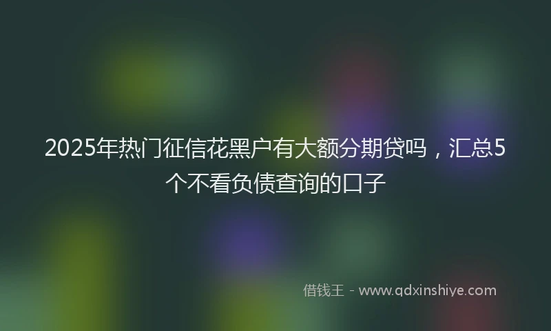 2025年热门征信花黑户有大额分期贷吗，汇总5个不看负债查询的口子