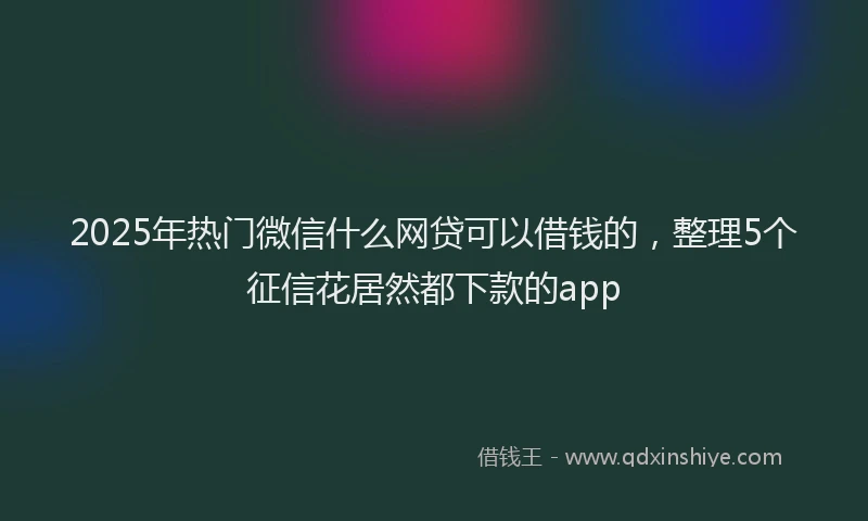 2025年热门微信什么网贷可以借钱的，整理5个征信花居然都下款的app