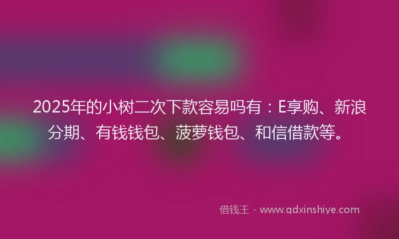2025年的小树二次下款容易吗有：E享购、新浪分期、有钱钱包、菠萝钱包、和信借款等。