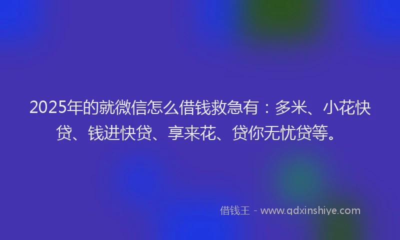 2025年的就微信怎么借钱救急有：多米、小花快贷、钱进快贷、享来花、贷你无忧贷等。