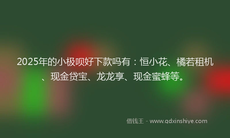 2025年的小极呗好下款吗有：恒小花、橘若租机、现金贷宝、龙龙享、现金蜜蜂等。