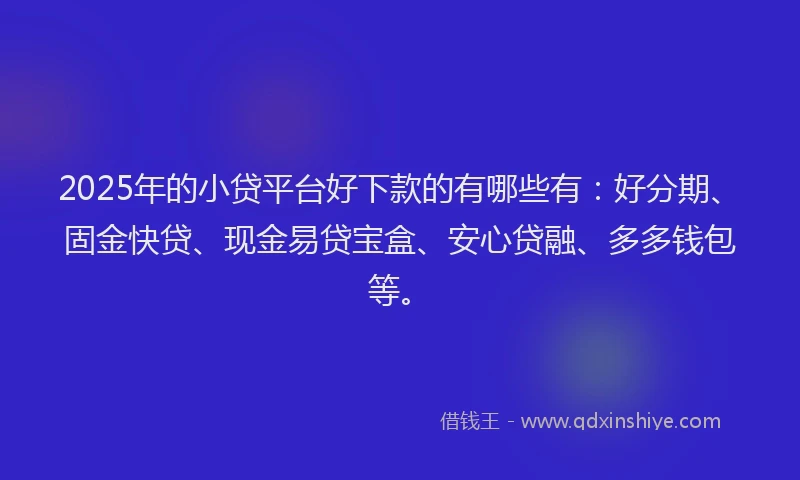 2025年的小贷平台好下款的有哪些有：好分期、固金快贷、现金易贷宝盒、安心贷融、多多钱包等。