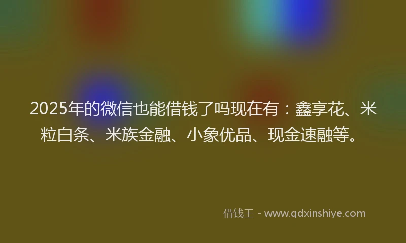 2025年的微信也能借钱了吗现在有：鑫享花、米粒白条、米族金融、小象优品、现金速融等。