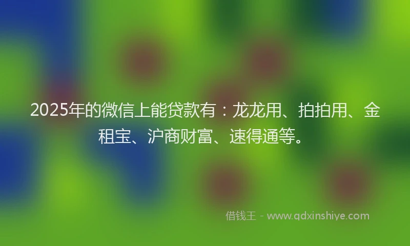 2025年的微信上能贷款有：龙龙用、拍拍用、金租宝、沪商财富、速得通等。