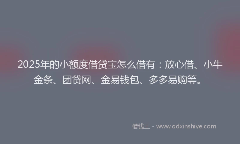 2025年的小额度借贷宝怎么借有：放心借、小牛金条、团贷网、金易钱包、多多易购等。