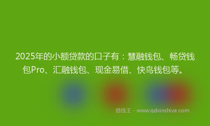 2025年的小额贷款的口子有：慧融钱包、畅贷钱包Pro、汇融钱包、现金易借、快鸟钱包等。