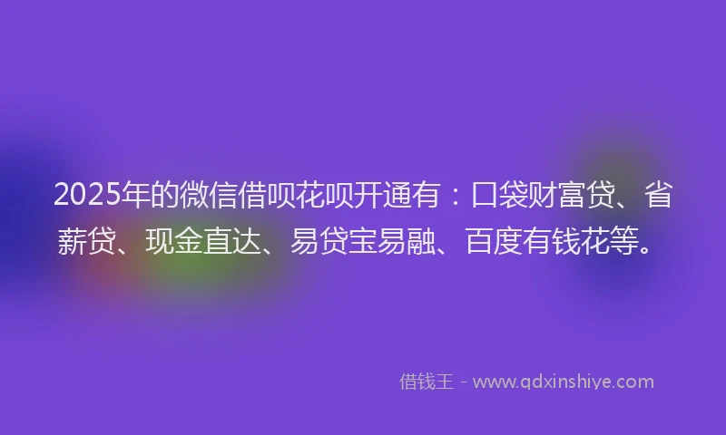 2025年的微信借呗花呗开通有：口袋财富贷、省薪贷、现金直达、易贷宝易融、百度有钱花等。
