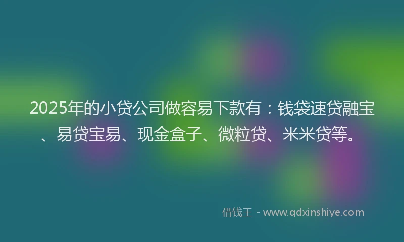 2025年的小贷公司做容易下款有：钱袋速贷融宝、易贷宝易、现金盒子、微粒贷、米米贷等。