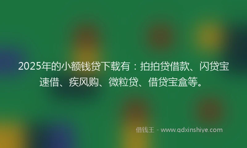 2025年的小额钱贷下载有：拍拍贷借款、闪贷宝速借、疾风购、微粒贷、借贷宝盒等。