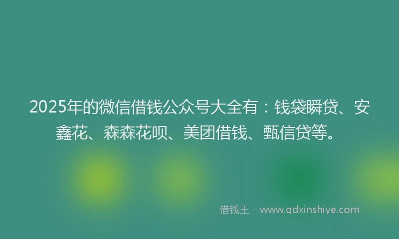 2025年的微信借钱公众号大全有：钱袋瞬贷、安鑫花、森森花呗、美团借钱、甄信贷等。