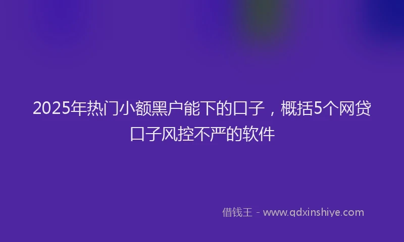 2025年热门小额黑户能下的口子，概括5个网贷口子风控不严的软件