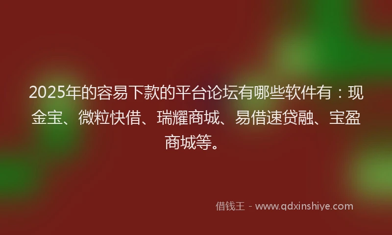 2025年的容易下款的平台论坛有哪些软件有：现金宝、微粒快借、瑞耀商城、易借速贷融、宝盈商城等。