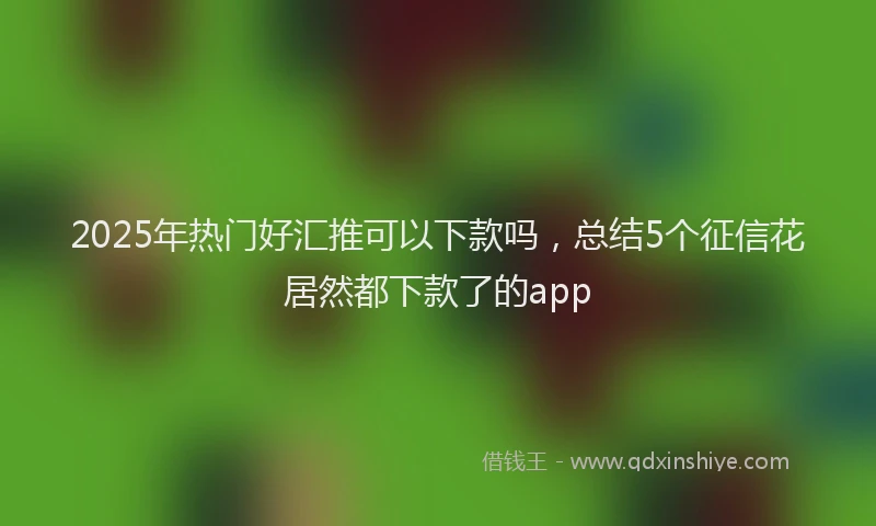 2025年热门好汇推可以下款吗，总结5个征信花居然都下款了的app