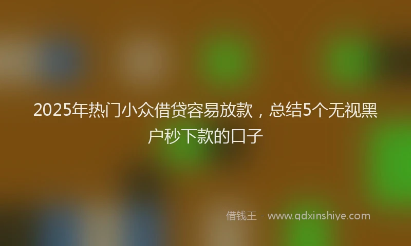 2025年热门小众借贷容易放款，总结5个无视黑户秒下款的口子