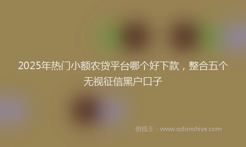 2025年热门小额农贷平台哪个好下款，整合五个无视征信黑户口子
