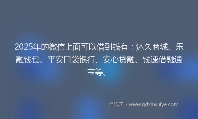 2025年的微信上面可以借到钱有：沐久商城、乐融钱包、平安口袋银行、安心贷融、钱速借融通宝等。