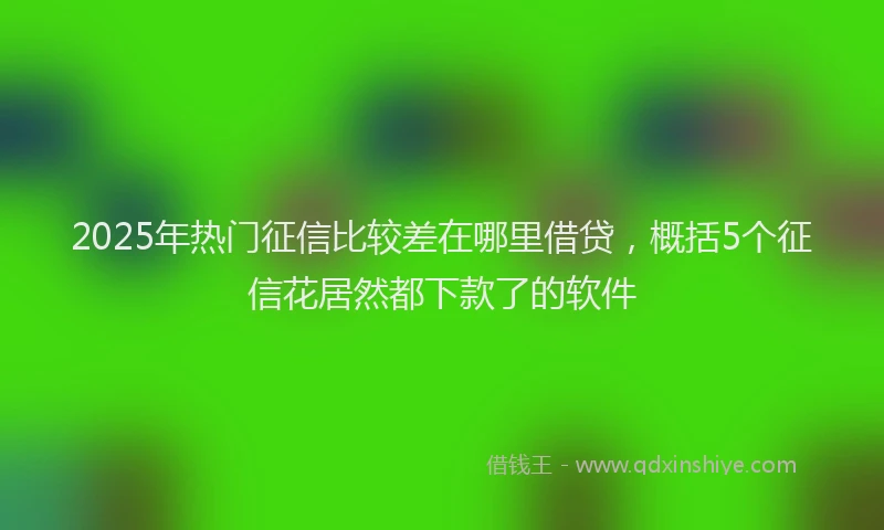 2025年热门征信比较差在哪里借贷，概括5个征信花居然都下款了的软件