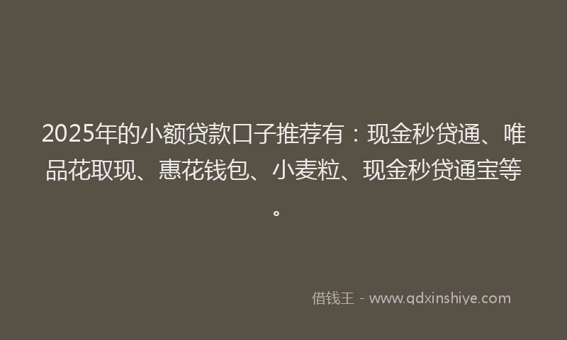 2025年的小额贷款口子推荐有：现金秒贷通、唯品花取现、惠花钱包、小麦粒、现金秒贷通宝等。