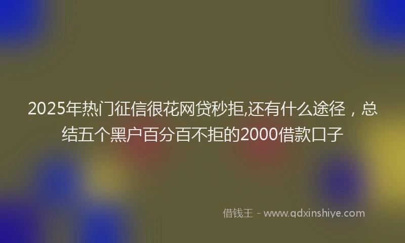 2025年热门征信很花网贷秒拒,还有什么途径，总结五个黑户百分百不拒的2000借款口子