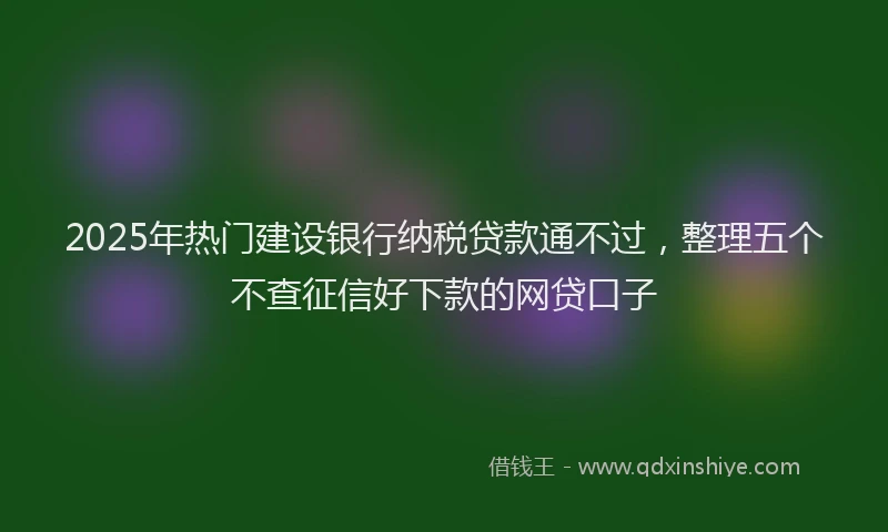 2025年热门建设银行纳税贷款通不过，整理五个不查征信好下款的网贷口子