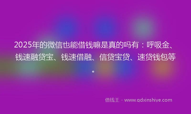 2025年的微信也能借钱嘛是真的吗有：呼吸金、钱速融贷宝、钱速借融、信贷宝贷、速贷钱包等。