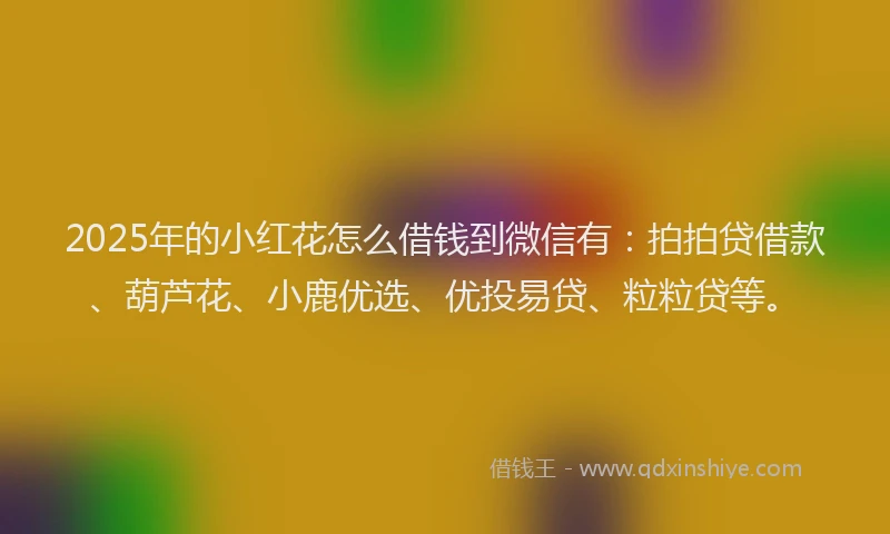 2025年的小红花怎么借钱到微信有：拍拍贷借款、葫芦花、小鹿优选、优投易贷、粒粒贷等。