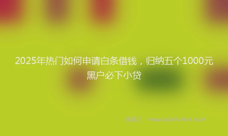 2025年热门如何申请白条借钱，归纳五个1000元黑户必下小贷