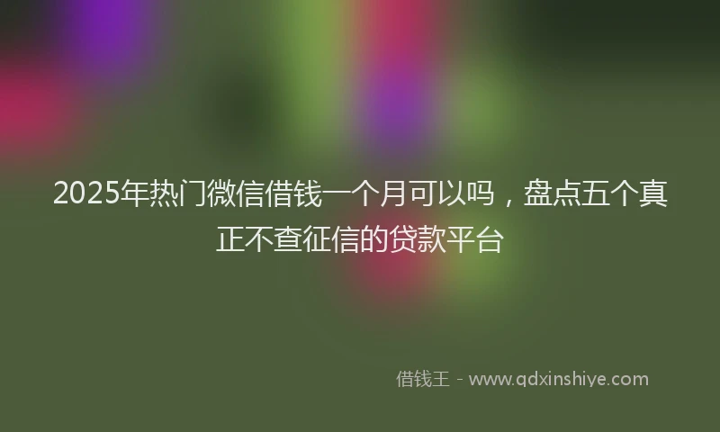 2025年热门微信借钱一个月可以吗，盘点五个真正不查征信的贷款平台
