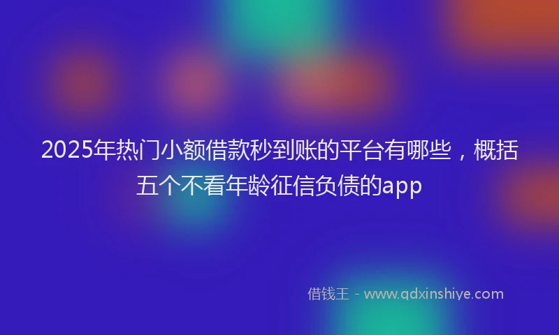 2025年热门小额借款秒到账的平台有哪些，概括五个不看年龄征信负债的app