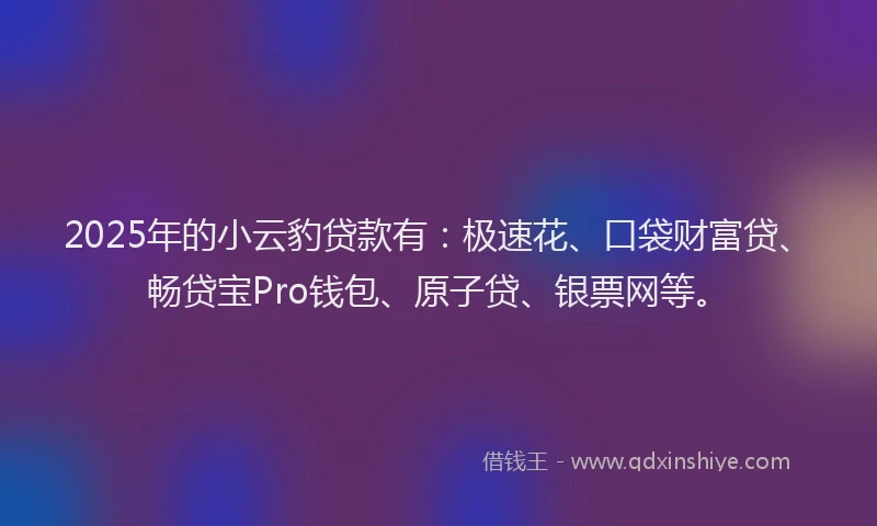 2025年的小云豹贷款有：极速花、口袋财富贷、畅贷宝Pro钱包、原子贷、银票网等。