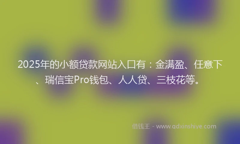 2025年的小额贷款网站入口有：金满盈、任意下、瑞信宝Pro钱包、人人贷、三枝花等。