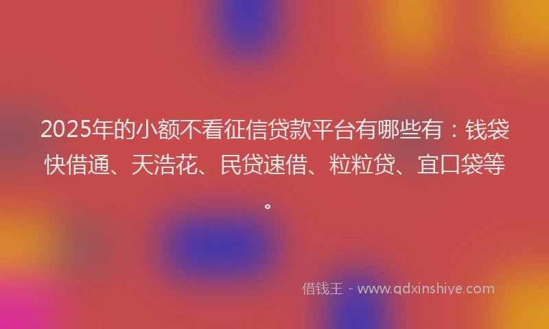 2025年的小额不看征信贷款平台有哪些有：钱袋快借通、天浩花、民贷速借、粒粒贷、宜口袋等。