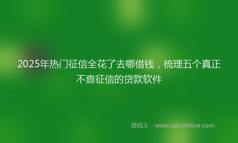2025年热门征信全花了去哪借钱，梳理五个真正不查征信的贷款软件
