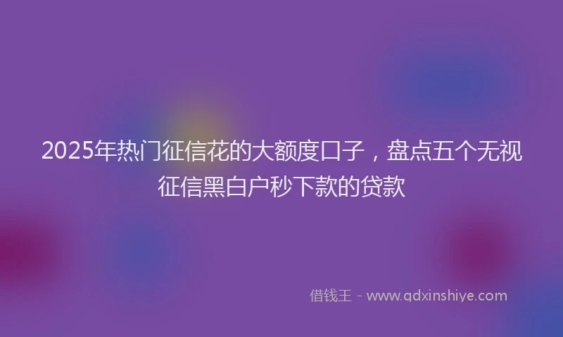 2025年热门征信花的大额度口子，盘点五个无视征信黑白户秒下款的贷款