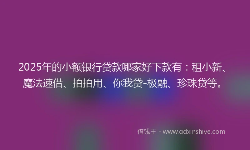 2025年的小额银行贷款哪家好下款有：租小新、魔法速借、拍拍用、你我贷-极融、珍珠贷等。