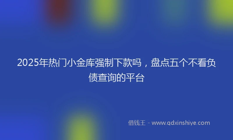 2025年热门小金库强制下款吗，盘点五个不看负债查询的平台