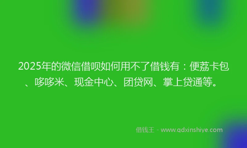 2025年的微信借呗如何用不了借钱有：便荔卡包、哆哆米、现金中心、团贷网、掌上贷通等。