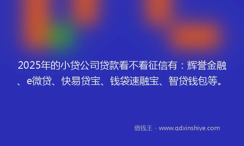 2025年的小贷公司贷款看不看征信有：辉誉金融、e微贷、快易贷宝、钱袋速融宝、智贷钱包等。