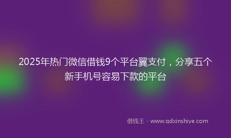 2025年热门微信借钱9个平台翼支付，分享五个新手机号容易下款的平台