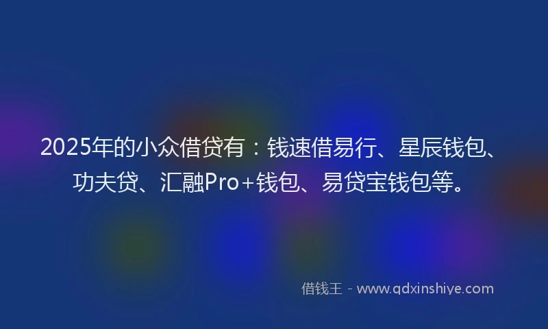 2025年的小众借贷有：钱速借易行、星辰钱包、功夫贷、汇融Pro+钱包、易贷宝钱包等。