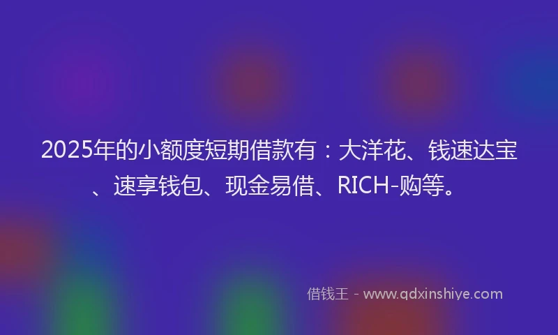 2025年的小额度短期借款有：大洋花、钱速达宝、速享钱包、现金易借、RICH-购等。