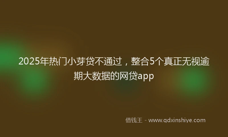2025年热门小芽贷不通过，整合5个真正无视逾期大数据的网贷app