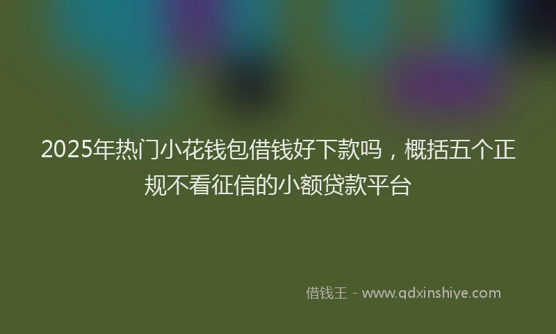 2025年热门小花钱包借钱好下款吗，概括五个正规不看征信的小额贷款平台