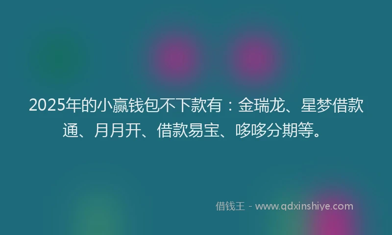 2025年的小赢钱包不下款有：金瑞龙、星梦借款通、月月开、借款易宝、哆哆分期等。