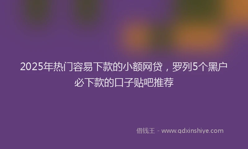 2025年热门容易下款的小额网贷，罗列5个黑户必下款的口子贴吧推荐