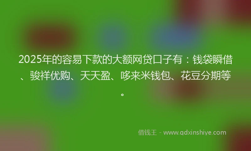 2025年的容易下款的大额网贷口子有：钱袋瞬借、骏祥优购、天天盈、哆来米钱包、花豆分期等。