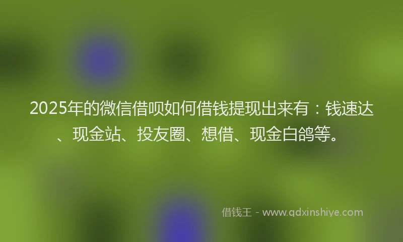 2025年的微信借呗如何借钱提现出来有：钱速达、现金站、投友圈、想借、现金白鸽等。