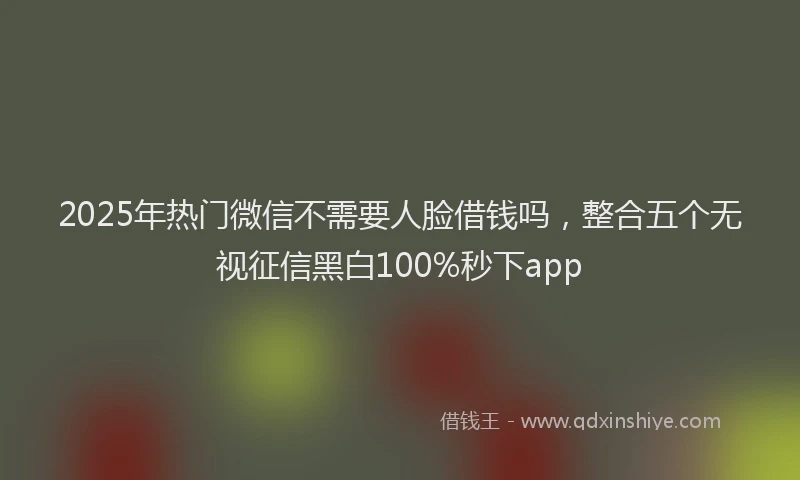 2025年热门微信不需要人脸借钱吗，整合五个无视征信黑白100%秒下app