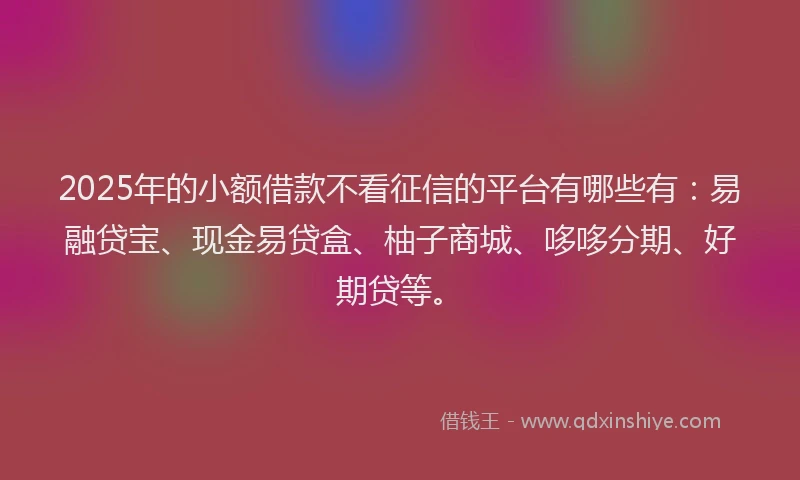 2025年的小额借款不看征信的平台有哪些有：易融贷宝、现金易贷盒、柚子商城、哆哆分期、好期贷等。